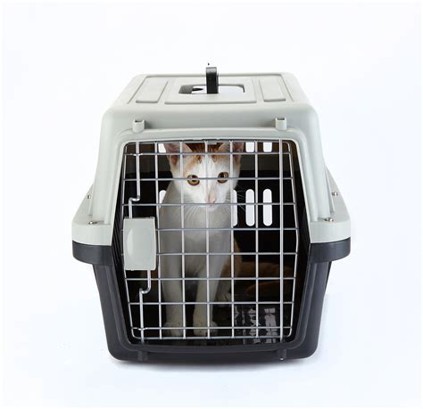 How do you crate train a cat? Yvettevans Portable Airline Approved Top-Load Pet Kennel ...
