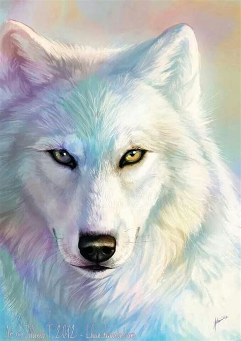 Discover more posts about white wolves. Beautiful 2 toned white wolf ♥ | Wolves are amazing and ...
