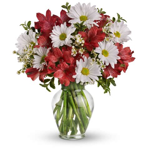 Dancing In Daisies By Teleflora In College Station Tx University Flowers