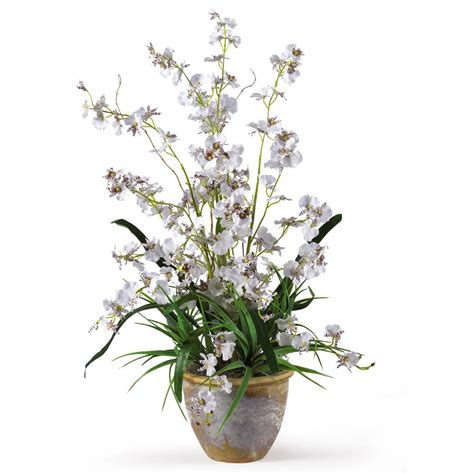 2ft White Dancing Lady Orchid Arrangement In Ceramic Vase Michaels