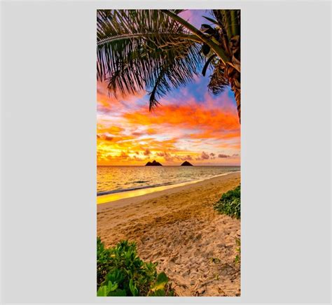Lanikai Beach Kailua Sunrise With Palm Tree Pano Panoramic Etsy