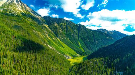 Wallpaper Mountains Forest Valley Greenery Landscape Hd Picture Image