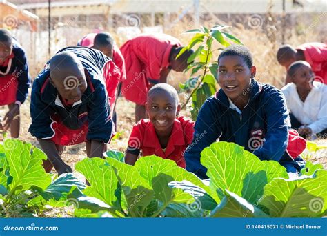 School Children Learning About Agriculture And Farming Editorial Photo