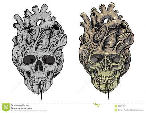 Skull Heart Stock Illustration Illustration Of Decoration