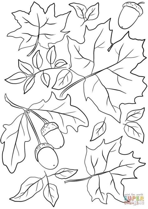 Fall Leaves Coloring Pages 21 Awesome Image Of Fall Leaves Coloring