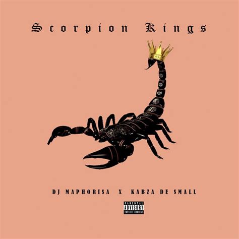 Scorpion Kings Album By Kabza De Small Spotify