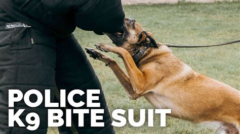 Police K9 Bite Suit Youtube