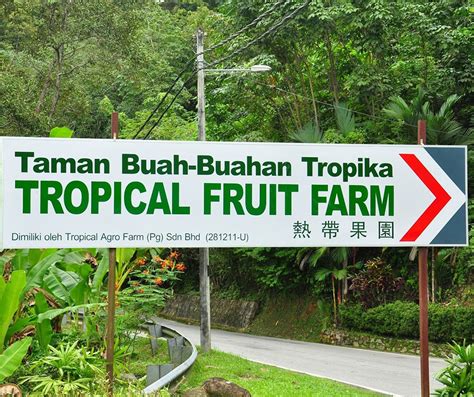 Penang Tropical Fruit Farm