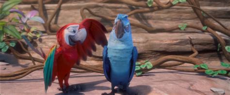 Image Rio 2its A Jungle Out Herepng Rio Wiki Fandom Powered