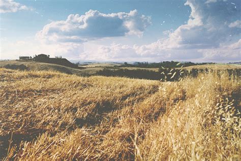 Vsco Image Searchtimeline