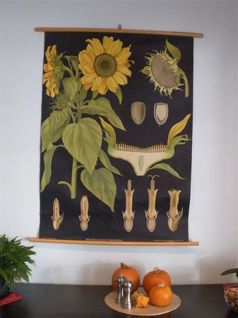 Sunflower Vintage Botanical Wall Hanging Roll By Silentstories