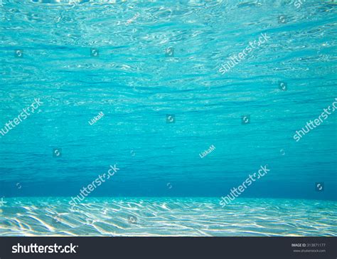 Underwater Shoot Infinite Sandy Sea Stock Photo 313871177 Shutterstock