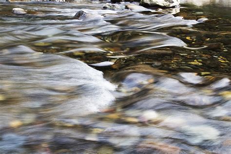 Clear Forest Creek River Background Good Water Quality River Hd