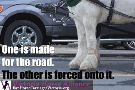 Take Action Victoria Horse Alliance
