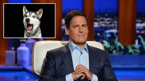 Because our pets and our planet are worth it. Mark Cuban invests in vegan dog food company Wild Earth ...