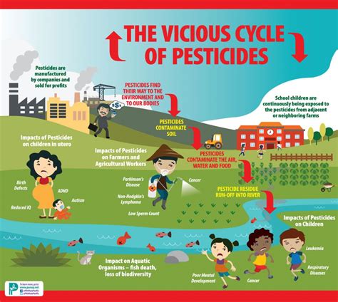 What Are Pesticides Its Effect On Foods And Your Health