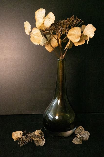 Still Life Vase Atmosphere Dried Free Photo On Pixabay Pixabay