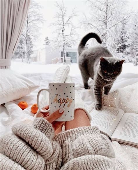 Good Morning Snowy Sunday Lenasaibel Cats Pets Cute Cozy