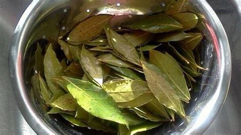 Jun 29, 2021 · manfaat buah anggur luar biasa turunkan kolesterol hingga diabetes, disebut buah surga dalam alquran tak banyak tahu, berikut inilah manfaat luar biasa dikandung buah anggur bagi kesehatan, termasuk buah surga yang disebutkan dalam alquran. Tak Sekedar Bumbu Dapur, Ada Manfaat Tersembunyi Lainnya ...