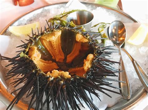I Ate Live Sea Urchin Food