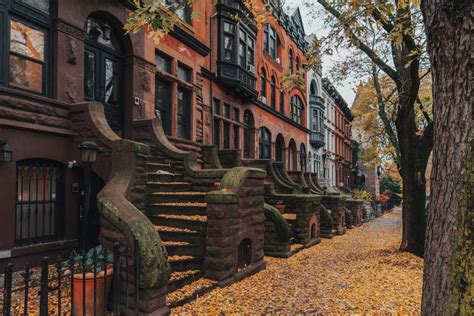 Things To Do In Prospect Heights Brooklyn Locals Guide Your