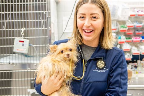 Urgent pet care can provide urgent care and many health services for your pet after most veterinary offices have closed. 24-7 Urgent Care for Pets - The Animal Medical Center - NYC
