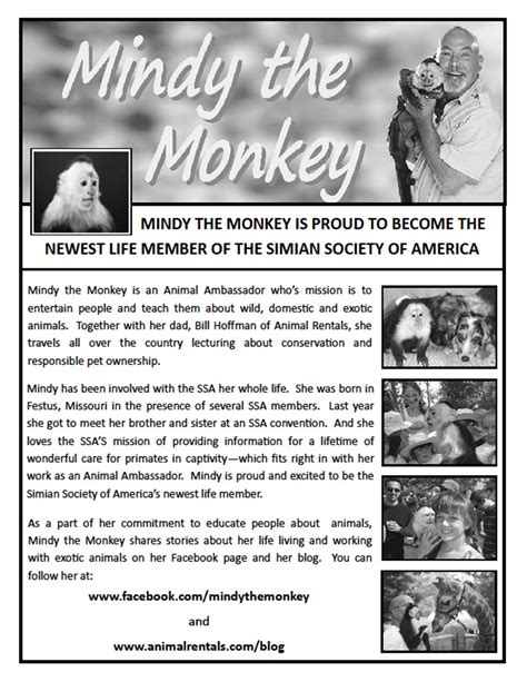 Animal Rentals Blog Blog Archive Some Real Monkey Business