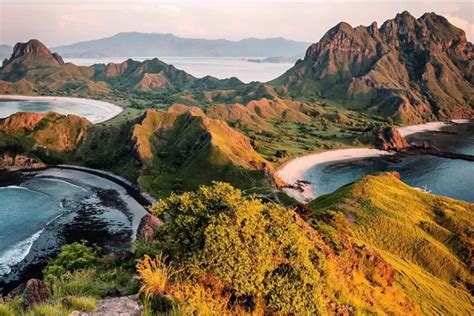 Berikut Pulau Pulau Bernama Hewan Di Indonesia Indozone Travel