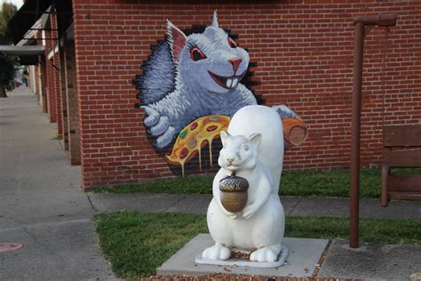 For more information, please review the hunter fact sheet. White Squirrel Signs and Statues in Olney, Illinois - July ...