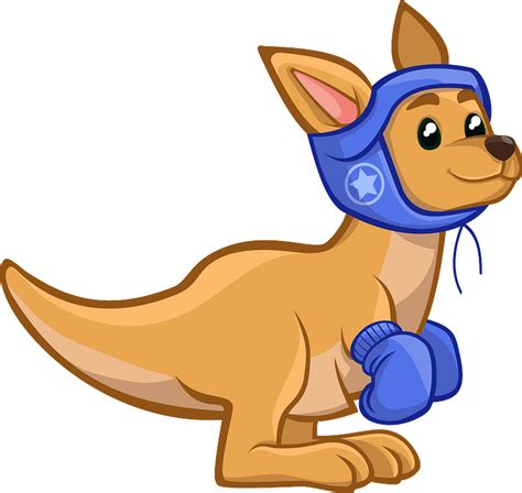 Kangaroo Boxer Clipart Free Download Transparent Png Creazilla