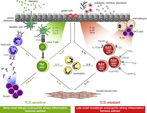 Biologics And Chronic Obstructive Pulmonary Disease Journal Of