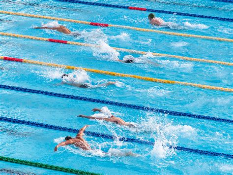 Qual A Origem Da Natação