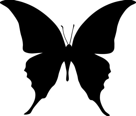 Simple Butterfly Silhouette Png Download This Free Vector About