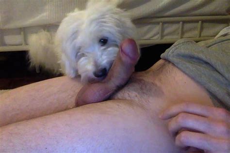 My Dog Licking Me Again And I Cum Feeding Her Zoo Tube 1