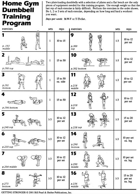 Click To Download A Printable Pdf Free Weight Workout Workout Plan To