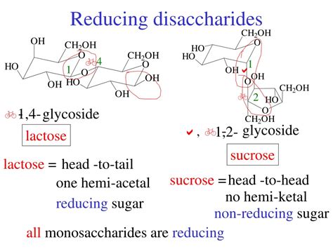 Ppt Disaccharides Powerpoint Presentation Free Download Id9178717