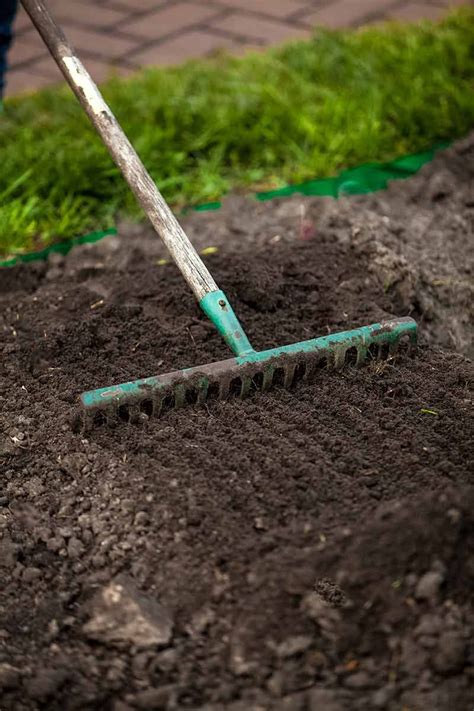 Once the tuna can is full, you know you've hit an inch deep. How to Plant Grass Seed | Planting grass, Planting grass seed, Grass seed