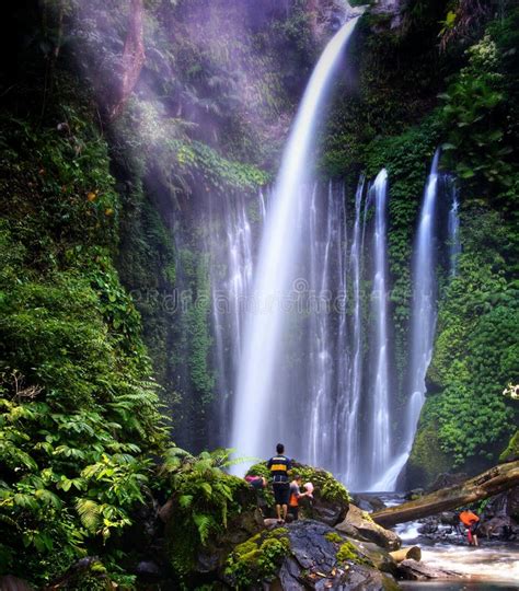 Tiu Kelep Waterfall Near Rinjani Senaru Lombok Indonesia Southeast
