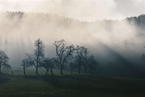 The First Sun Rays On A Cold Autumn Day Upper Austria 4898x3266 Oc