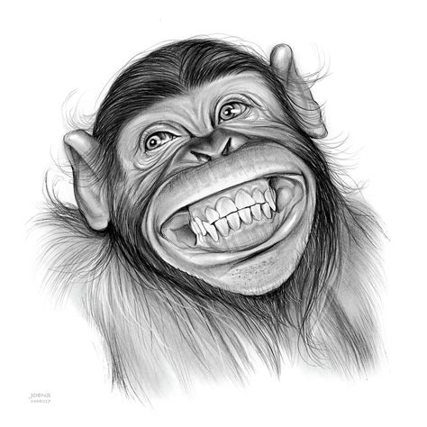 Chimpanzee Drawing Chimpanzee By Greg Joens Pencil Drawings Of