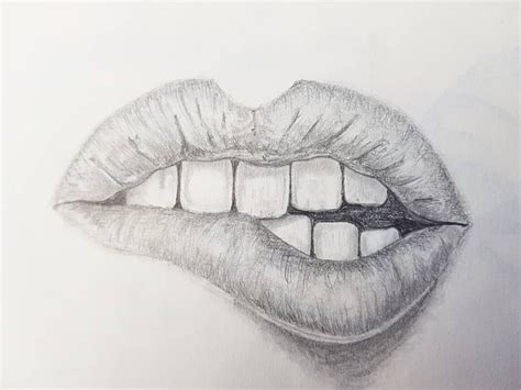 Experimenting with different sizes of the individual forms will change the mouth shape and individualize its appearance. My first pencil drawings. #pencil #drawing #draw #lips # ...