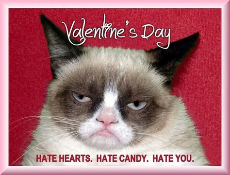 17 Best Images About I Love You Grumpy Kitteh On Pinterest Grumpy