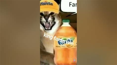 Fanta Floppa Vs Sprİte Floppa Youtube