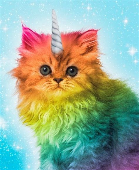 Unduh 85 Unicorn Kitten Wallpaper Gambar Viral Postsid