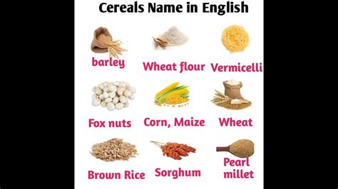 Cereals Name In English English Vocabulary Youtube