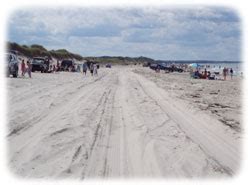 Sandy neck beach park massachusetts. Note: The ORV beach may be reduced in size or closed ...