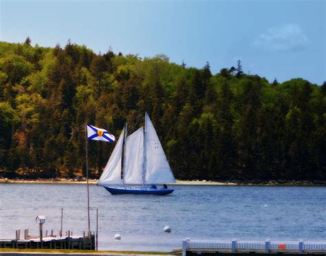 Spring Sail In Nova Scotia Photograph By Karen Cook Fine Art America