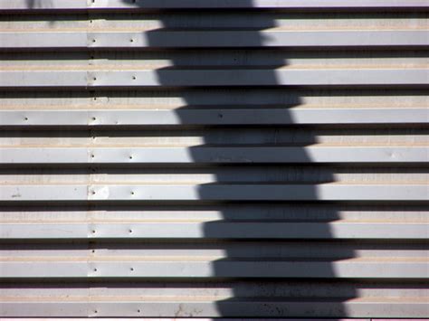 Broken Shadow | This is a tree trunk, which is straight ...