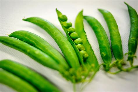 In Pursuit Of The Perfect Pea The New York Times