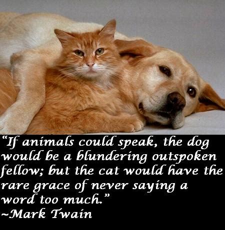 It is a very difficult task to earn a cat's affection; Quotes About Cats - Awesome Quotes About Life